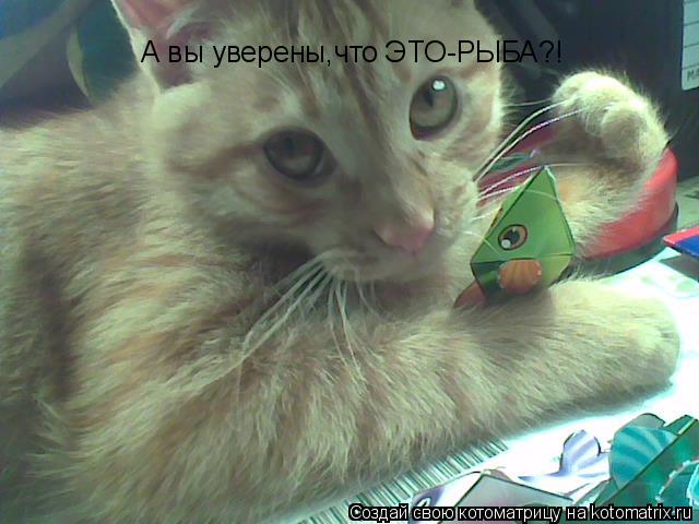 Котоматрица: А вы уверены,что ЭТО-РЫБА?!