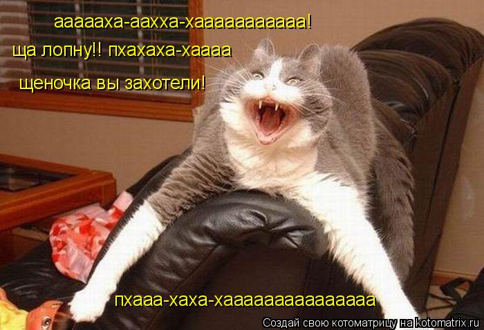 Котоматрица: аааааха-аахха-хааааааааааа! ща лопну!! пхахаха-хаааа щеночка вы захотели!  пхааа-хаха-хааааааааааааааа