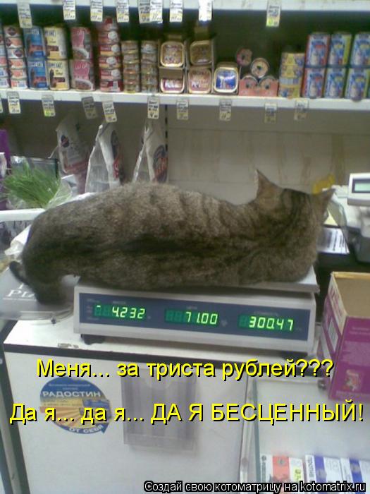 Котоматрица: Меня... за триста рублей??? Да я... да я... ДА Я БЕСЦЕННЫЙ!