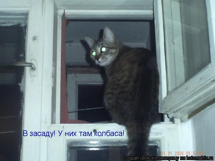 Котоматрица: В засаду! У них там колбаса!