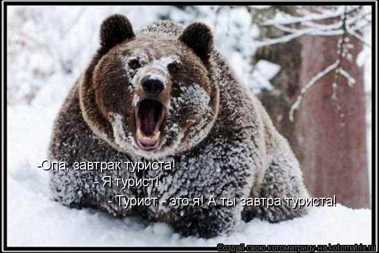 Котоматрица: -Опа, завтрак туриста! - Я турист! - Турист - это я! А ты завтра туриста!
