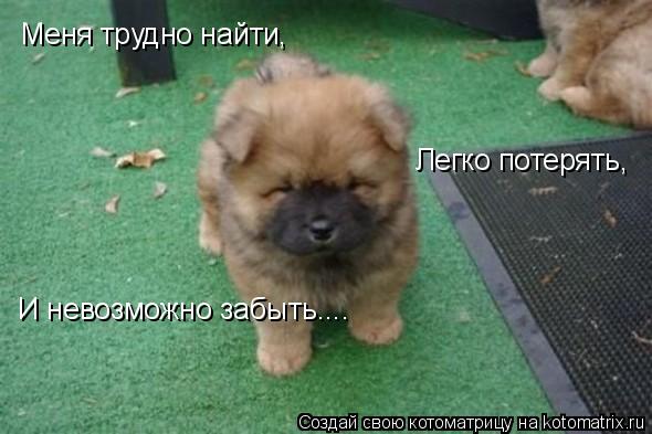 Меня трудно найти, Легко потерять, И невозможно забыть....... Котоматрица: Меня трудно найти, Легко потерять, И невозможно забыть....
