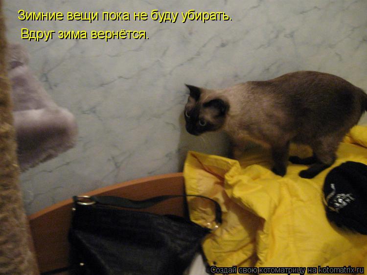 Зимние вещи пока не буду убирать. Вдруг зима вернётся.... Котоматрица: Зимние вещи пока не буду убирать. Вдруг зима вернётся.