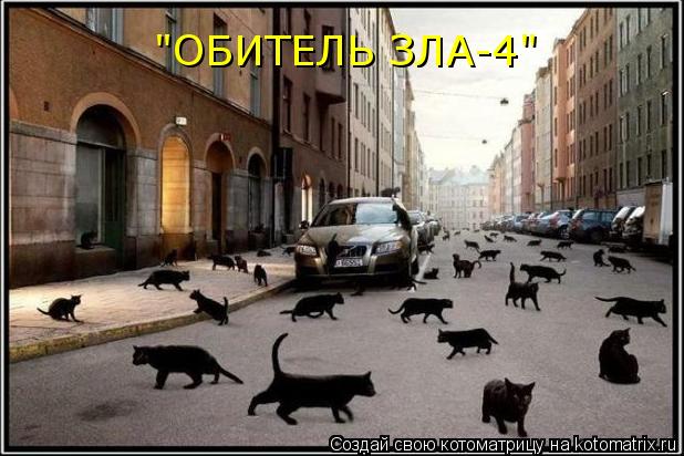 Котоматрица: "ОБИТЕЛЬ ЗЛА-4"