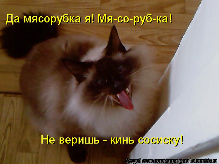 Котоматрица: Да мясорубка я! Мя-со-руб-ка! Не веришь - кинь сосиску! Не веришь - кинь сосиску! Да мясорубка я! Мя-со-руб-ка!