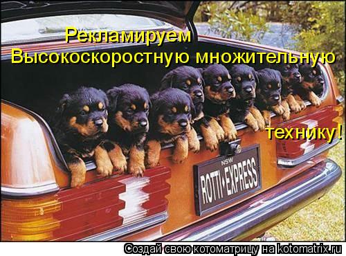 Котоматрица: Рекламируем Высокоскоростную множительную технику!