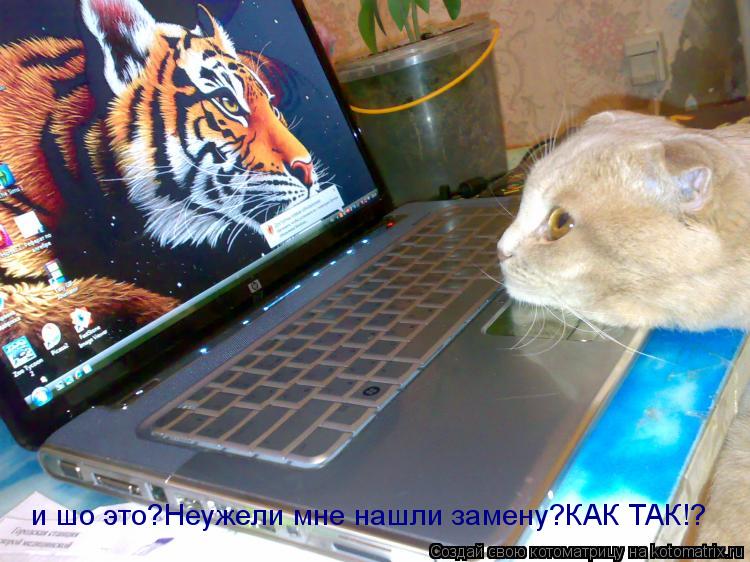 и шо это?Неужели мне нашли замену?КАК ТАК!?... Котоматрица: и шо это?Неужели мне нашли замену?КАК ТАК!?