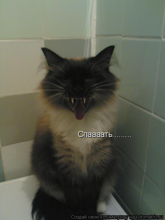 Спаааать............ Котоматрица: Спаааать.........