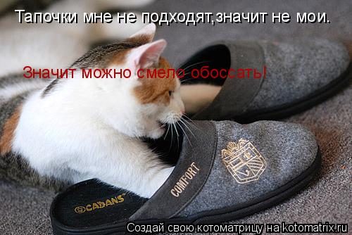Тапочки мне не подходят,значит не мои. Значит можно смело обоссать!... Котоматрица: Тапочки мне не подходят,значит не мои. Значит можно смело обоссать!