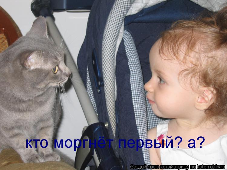 кто моргнёт первый? а?... Котоматрица: кто моргнёт первый? а?