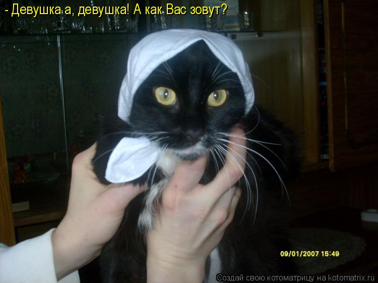 - Девушка а, девушка! А как Вас зовут?... Котоматрица: - Девушка а, девушка! А как Вас зовут?