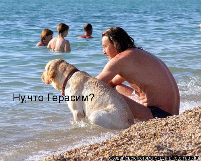 Ну,что Герасим?... Котоматрица: Ну,что Герасим?