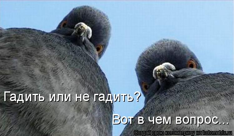 Гадить или не гадить? Вот в чем вопрос...... Котоматрица: Гадить или не гадить? Вот в чем вопрос...