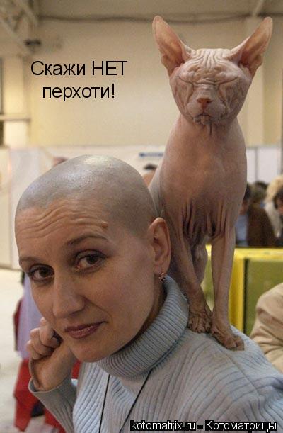 Скажи НЕТ перхоти!... Котоматрица: Скажи НЕТ перхоти!