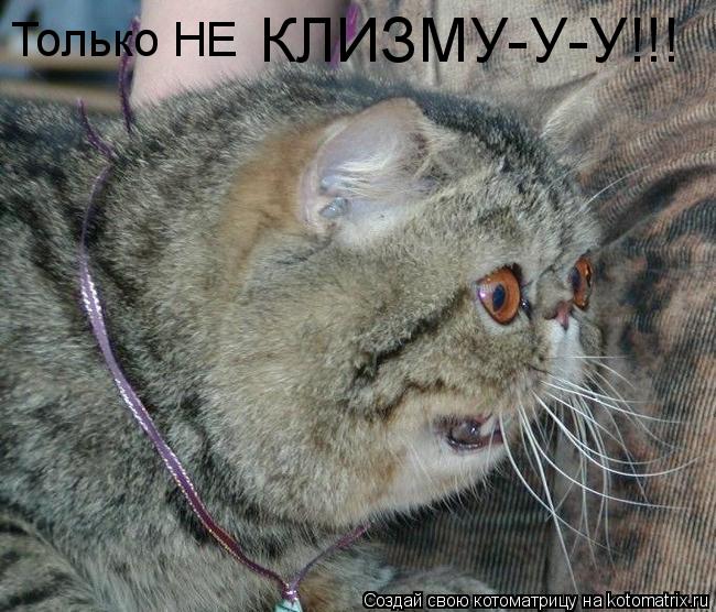 Только НЕ КЛИЗМУ-У-У!!!... Котоматрица: Только НЕ КЛИЗМУ-У-У!!!