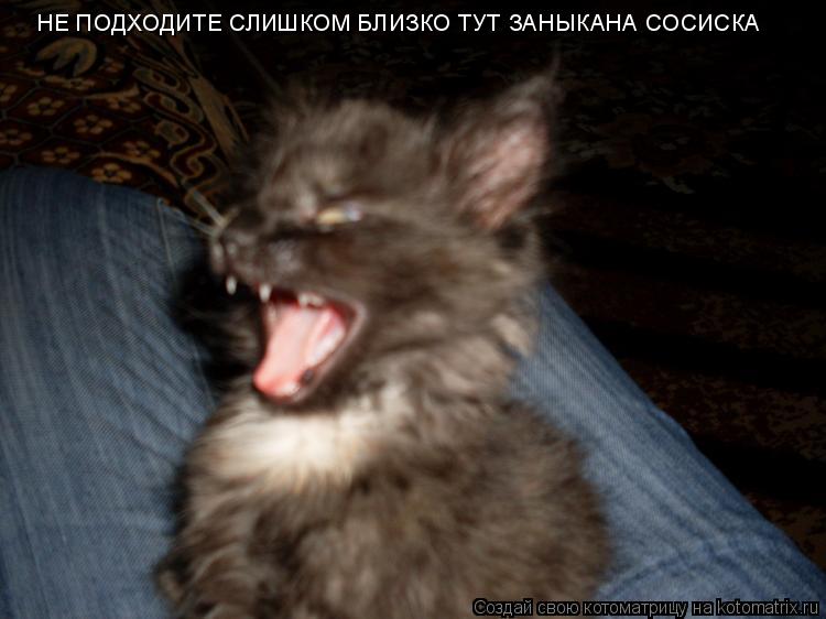 НЕ ПОДХОДИТЕ СЛИШКОМ БЛИЗКО ТУТ ЗАНЫКАНА СОСИСКА... Котоматрица: НЕ ПОДХОДИТЕ СЛИШКОМ БЛИЗКО ТУТ ЗАНЫКАНА СОСИСКА