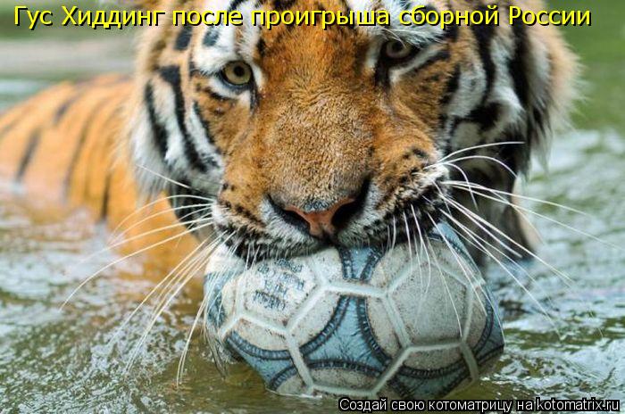 Гус Хиддинг после проигрыша сборной России... Котоматрица: Гус Хиддинг после проигрыша сборной России