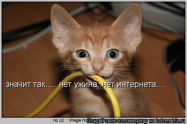 значит так..... нет ужина..нет интернета........ Котоматрица: значит так..... нет ужина..нет интернета.....