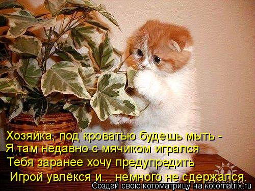 Я там недавно с мячиком игрался Хозяйка, под кроватью будешь мыть - Тебя заранее хочу предупредить Иг... Котоматрица: Я там недавно с мячиком игрался Хозяйка, под кроватью будешь мыть - Тебя заранее хочу предупредить Игрой увлёкся и... немного не сдержался.