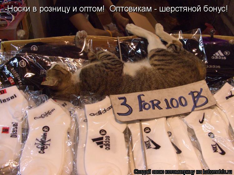 -Носки в розницу и оптом! Оптовикам - шерстяной бонус!... Котоматрица: -Носки в розницу и оптом! Оптовикам - шерстяной бонус!