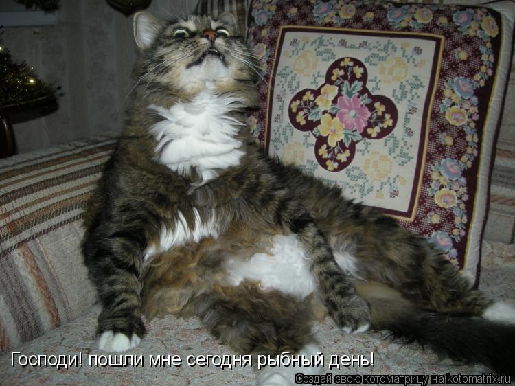 Котоматрица: Господи! пошли мне сегодня рыбный день!