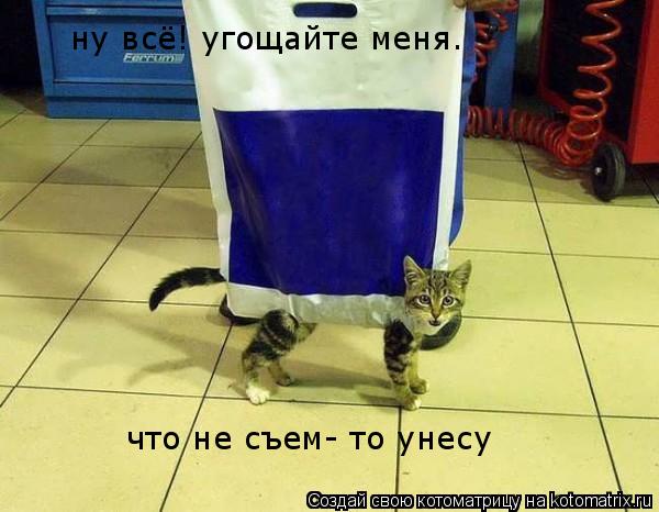 Котоматрица: ну всё! угощайте меня. что не съем- то унесу