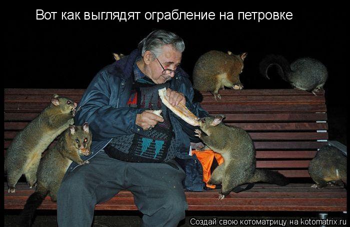 Котоматрица: Вот как выглядят ограбление на петровке