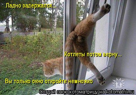 Котоматрица: Ладно задержался... Котлеты потом верну...Вы только окно откройте немножко Котлеты потом верну... Вы только окно откройте немножко