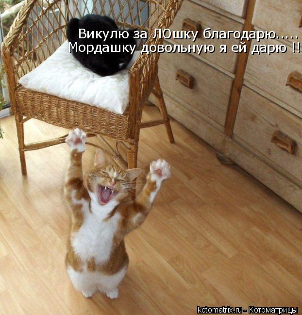 Котоматрица: Викулю за ЛОшку благодарю..... Мордашку довольную я ей дарю !!!!