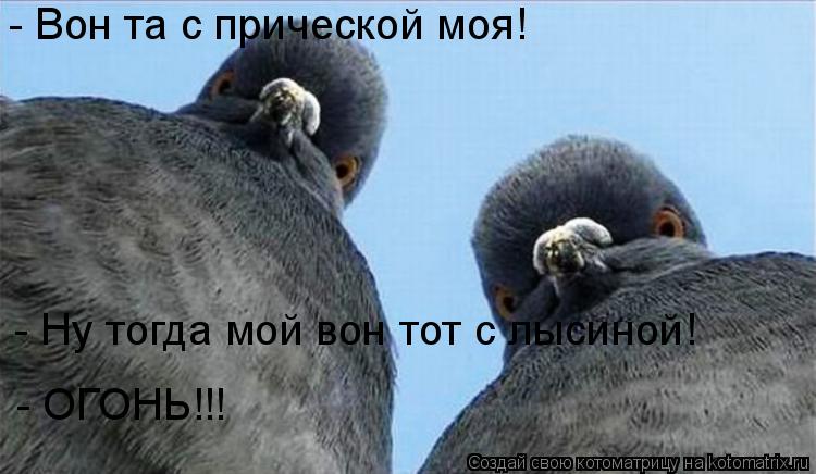 - Вон та с прической моя! - Ну тогда мой вон тот с лысиной! - ОГОНЬ!!!... Котоматрица: - Вон та с прической моя! - Ну тогда мой вон тот с лысиной! - ОГОНЬ!!!