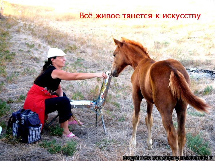 Всё живое тянется к искусству... Котоматрица: Всё живое тянется к искусству