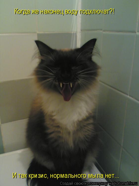 Котоматрица: Когда же наконец воду подключат?! И так кризис, нормального мыла нет...