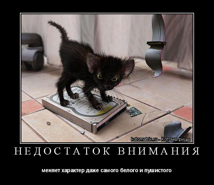 Недостаток внимания меняет характер даже самого белого и пушистого... Котоматрица: Недостаток внимания меняет характер даже самого белого и пушистого