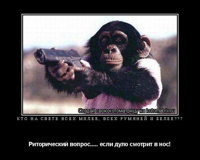 КТО НА СВЕТЕ ВСЕХ МИЛЕЕ, ВСЕХ РУМЯНЕЙ И БЕЛЕЕ??? Риторический вопрос..... если дуло смотрит в нос!... Котоматрица: КТО НА СВЕТЕ ВСЕХ МИЛЕЕ, ВСЕХ РУМЯНЕЙ И БЕЛЕЕ??? Риторический вопрос..... если дуло смотрит в нос!