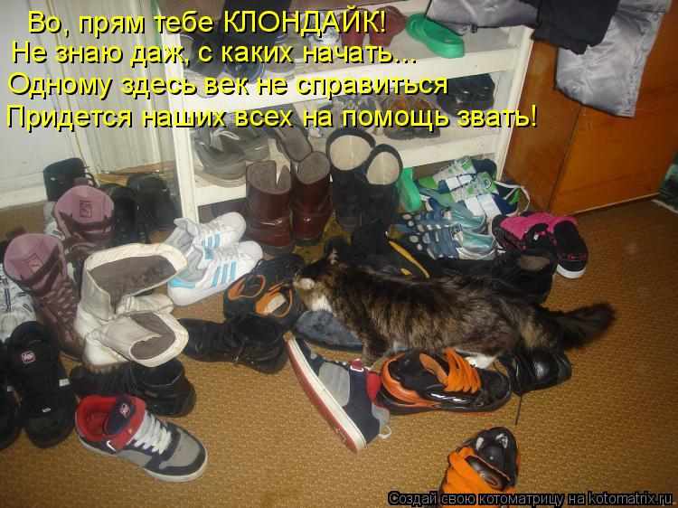 Во, прям тебе КЛОНДАЙК! Не знаю даж, с каких начать... Одному здесь век не справиться Придется наших ... Котоматрица: Во, прям тебе КЛОНДАЙК! Не знаю даж, с каких начать... Одному здесь век не справиться Придется наших всех на помощь звать!