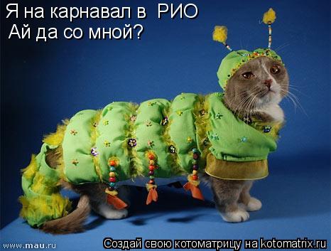 Я на карнавал в РИО Ай да со мной?... Котоматрица: Я на карнавал в РИО Ай да со мной?