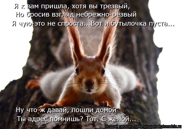 Я к вам пришла, хотя вы трезвый, Но бросив взгляд небрежно-резвый Ну что ж давай, пошли домой Я чую-э... Котоматрица: Я к вам пришла, хотя вы трезвый, Но бросив взгляд небрежно-резвый Ну что ж давай, пошли домой Я чую-это не спроста...Вот и бутылочка пуста... Ты