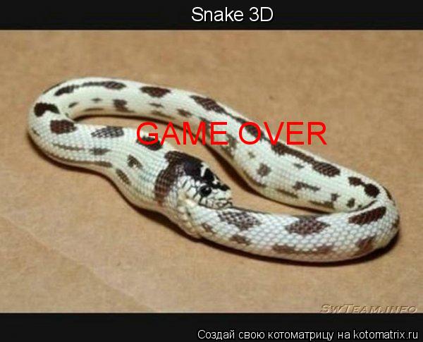 Snake 3D GAME OVER... Котоматрица: Snake 3D GAME OVER