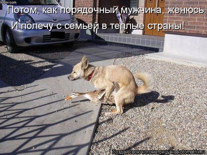 Потом, как порядочный мужчина, женюсь. И полечу с семьей в теплые страны!... Котоматрица: Потом, как порядочный мужчина, женюсь. И полечу с семьей в теплые страны!