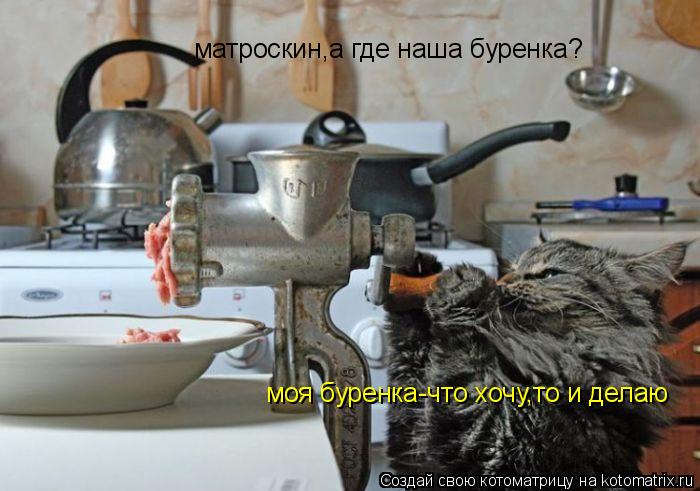 моя буренка-что хочу,то и делаю матроскин,а где наша буренка?... Котоматрица: моя буренка-что хочу,то и делаю матроскин,а где наша буренка?