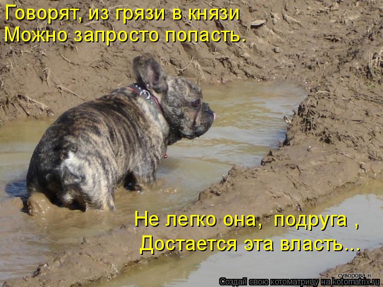 Говорят, из грязи в князи Можно запросто попасть. Достается эта власть….. Не легко она, «подруга»,... Котоматрица: Говорят, из грязи в князи Можно запросто попасть. Достается эта власть….. Не легко она, «подруга»,