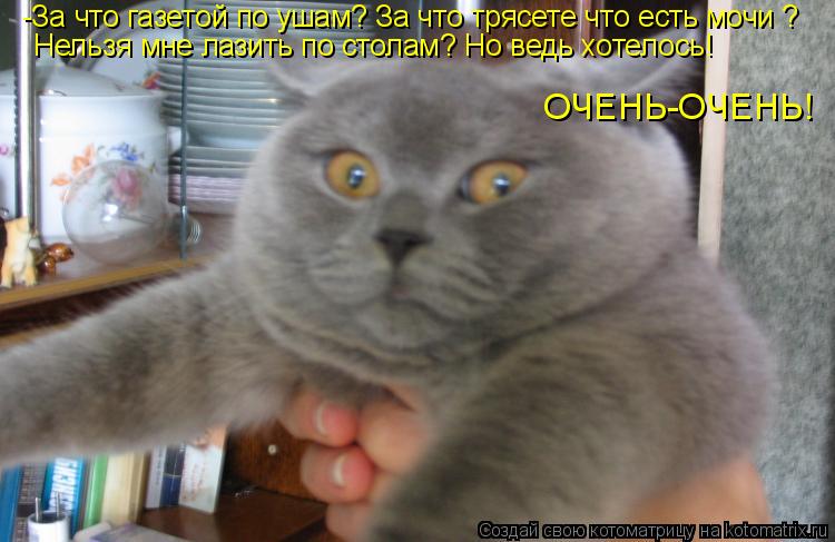 -За что газетой по ушам? За что трясете что есть мочи ? Нельзя мне лазить по столам? Но ведь хотелось... Котоматрица: -За что газетой по ушам? За что трясете что есть мочи ? Нельзя мне лазить по столам? Но ведь хотелось! ОЧЕНЬ-ОЧЕНЬ!