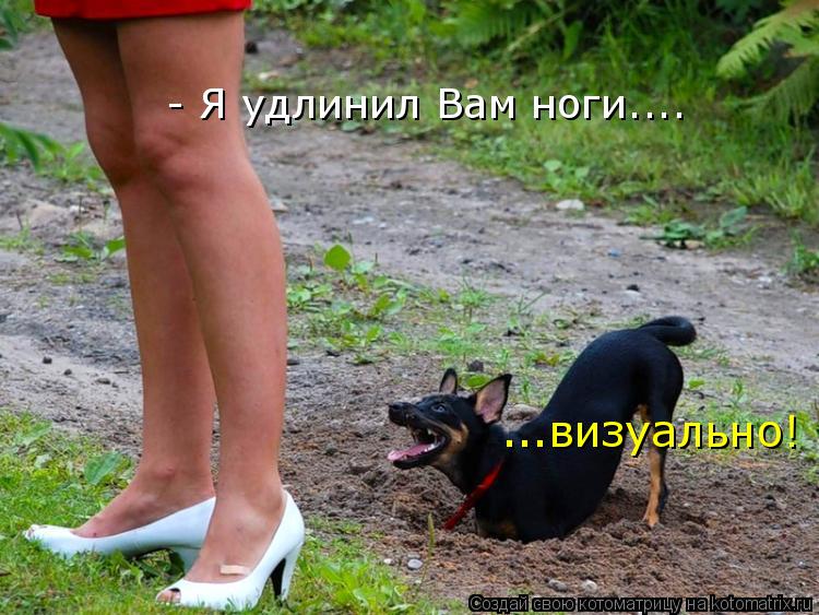- Я удлинил Вам ноги.... ...визуально!... Котоматрица: - Я удлинил Вам ноги.... ...визуально!