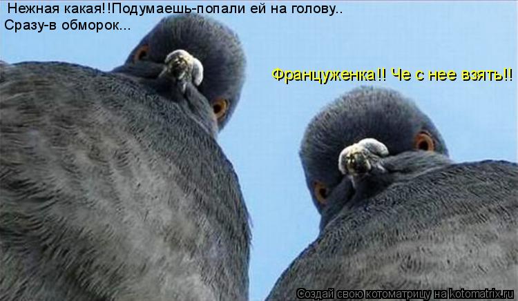 Нежная какая!!Подумаешь-попали ей на голову.. Сразу-в обморок... Француженка!! Че с нее взять!!... Котоматрица: Нежная какая!!Подумаешь-попали ей на голову.. Сразу-в обморок... Француженка!! Че с нее взять!!