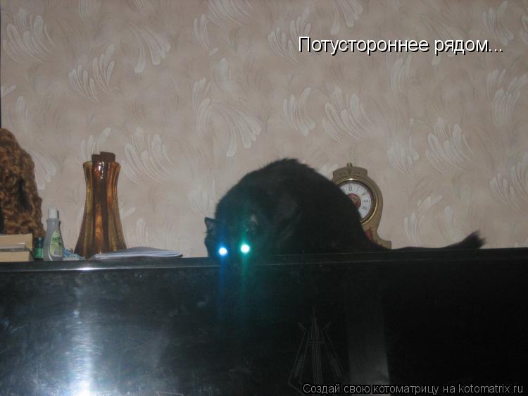 Потустороннее рядом...... Котоматрица: Потустороннее рядом...