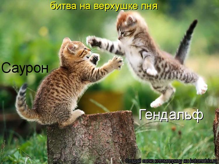 Саурон Гендальф битва на верхушке пня... Котоматрица: Саурон Гендальф битва на верхушке пня