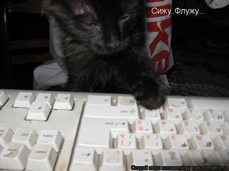 Сижу..Флужу...... Котоматрица: Сижу..Флужу...