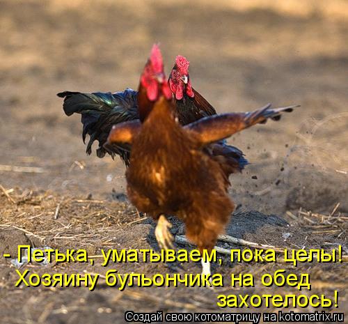 - Петька, уматываем, пока целы! Хозяину бульончика на обед захотелось!... Котоматрица: - Петька, уматываем, пока целы! Хозяину бульончика на обед захотелось!