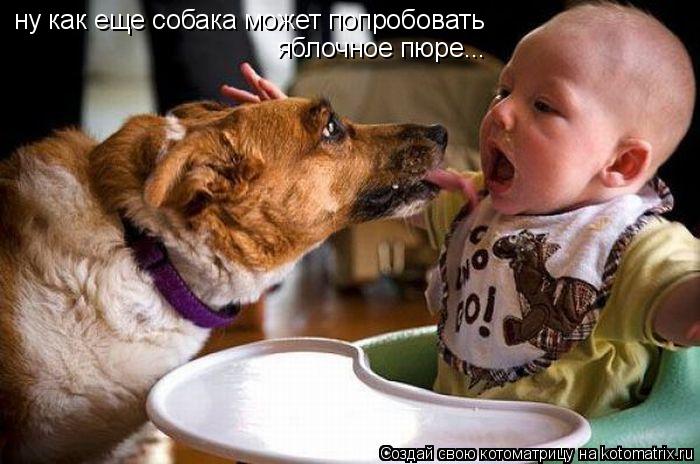 ну как еще собака может попробовать яблочное пюре...... Котоматрица: ну как еще собака может попробовать яблочное пюре...