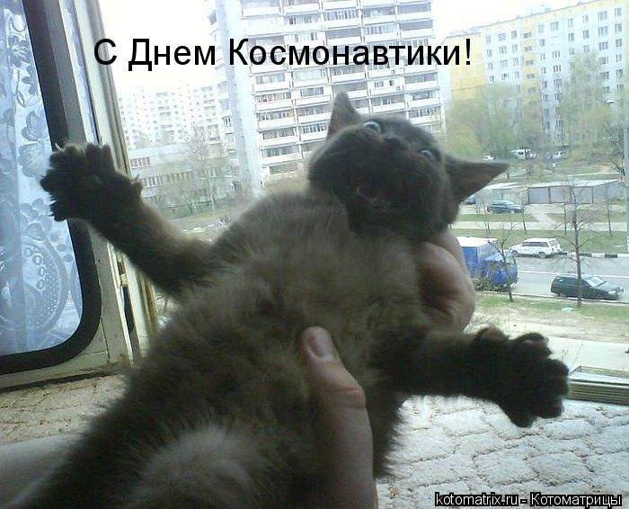 С Днем Космонавтики!... Котоматрица: С Днем Космонавтики!